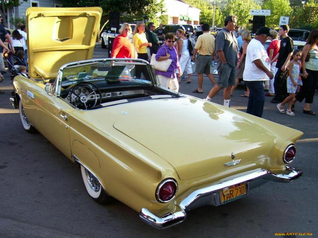 ford, thunderbird, 